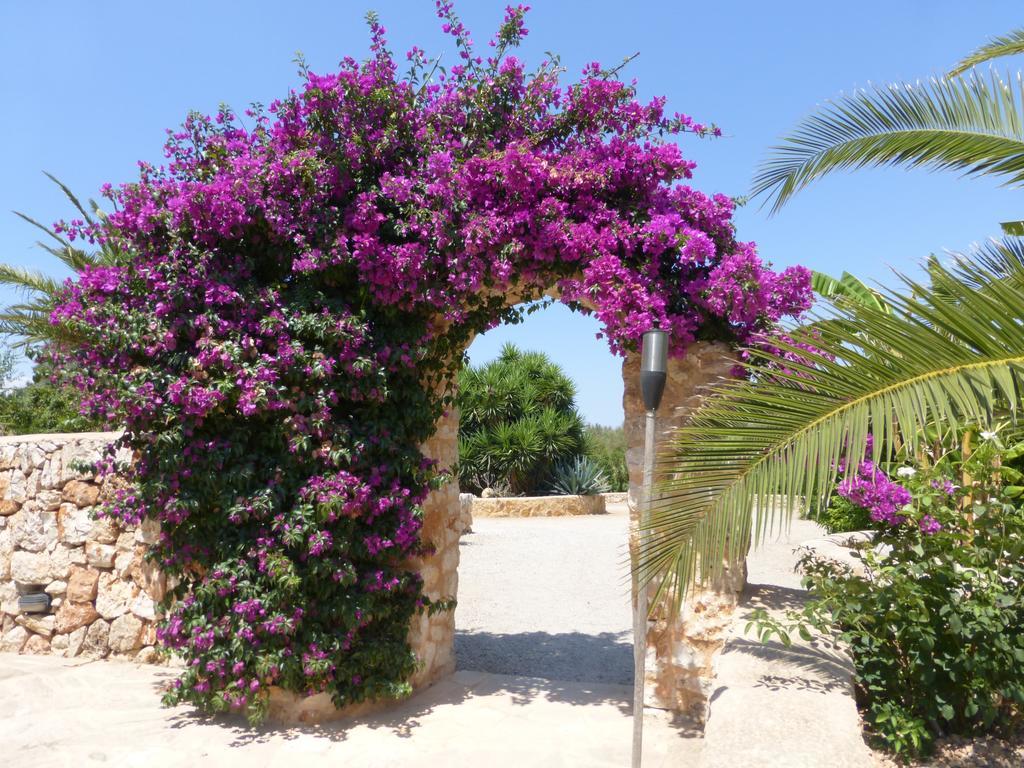 Hacienda D'Armando Bed and Breakfast Felanitx Εξωτερικό φωτογραφία