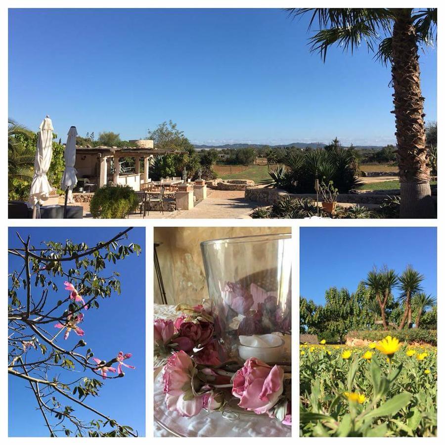 Hacienda D'Armando Bed and Breakfast Felanitx Εξωτερικό φωτογραφία